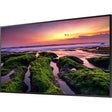 Samsung QE 65" LCD Digital Signage Display-Generation-e
