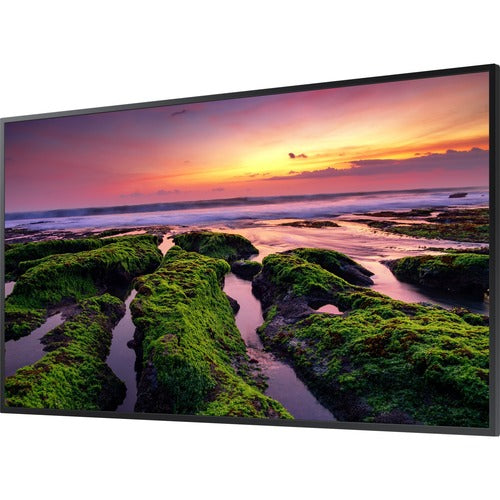 Samsung QE 65" LCD Digital Signage Display-Generation-e